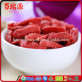 Geringe Kalorien Goji China Goji Goji Beeren getrocknet